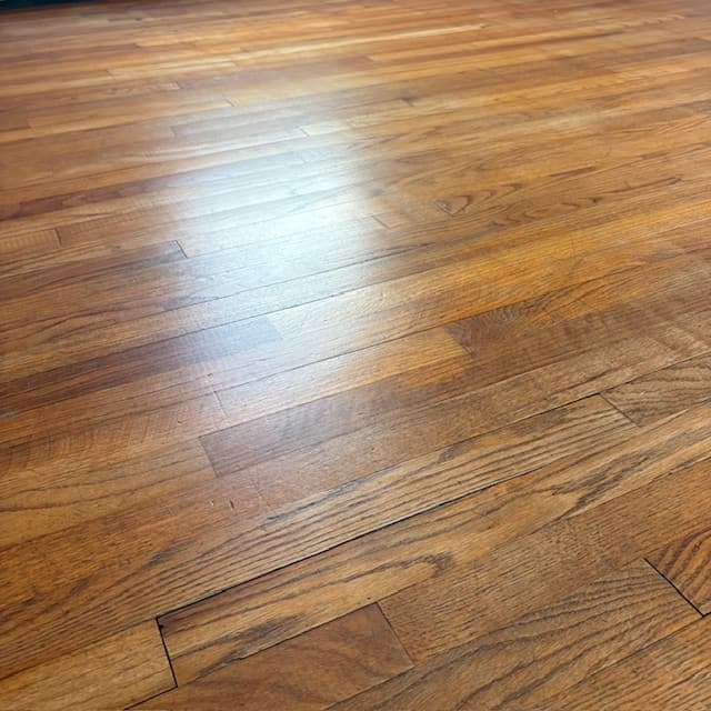 Golden oak hardwood — freshly refinished and coated
